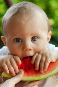 weaning your baby the family nutrition expert